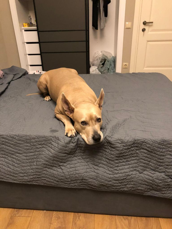 1E7F469D-ABBA-49D0-8394-4E2D791A0A64