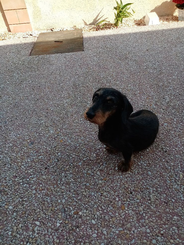 [Image: image000000-298.jpg]