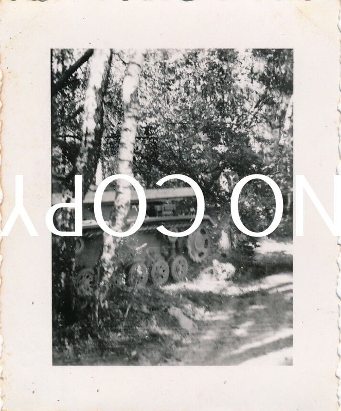 Foto WK2 Russland 41 - Sturmgeschütz Panzer in Waldstellung X12