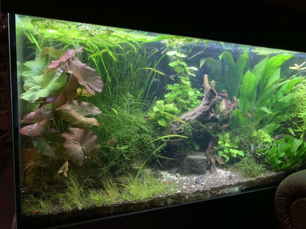 2419377E-3393-4818-BB26-9B8AF3002174