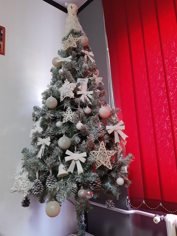 IMG_20211201_122355961