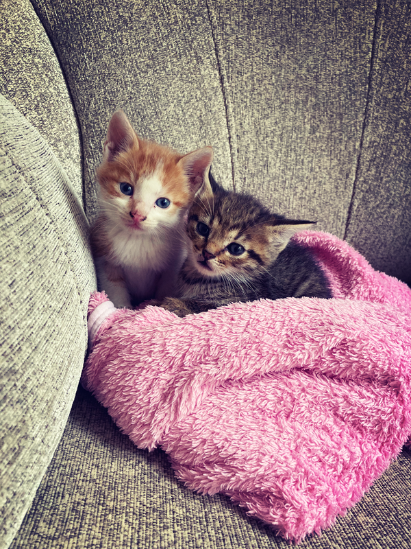 1D2F6D7A-2467-46D5-BADC-E9A6D187D7C4