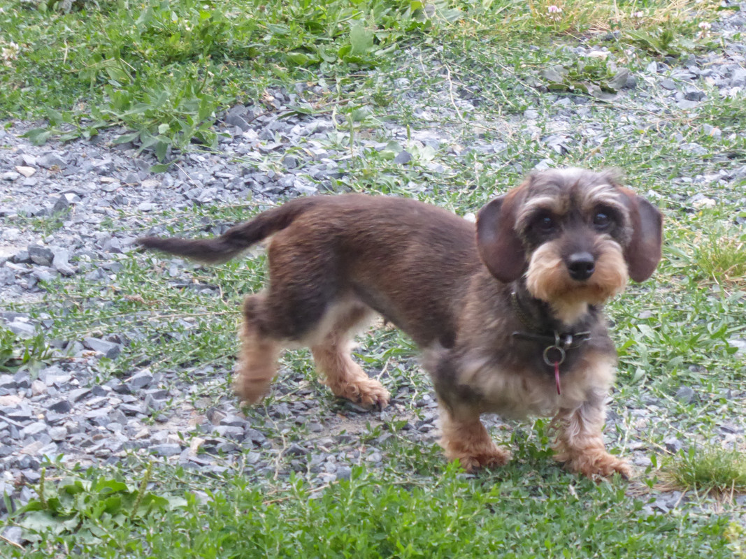 [Image: P1030407.jpg]