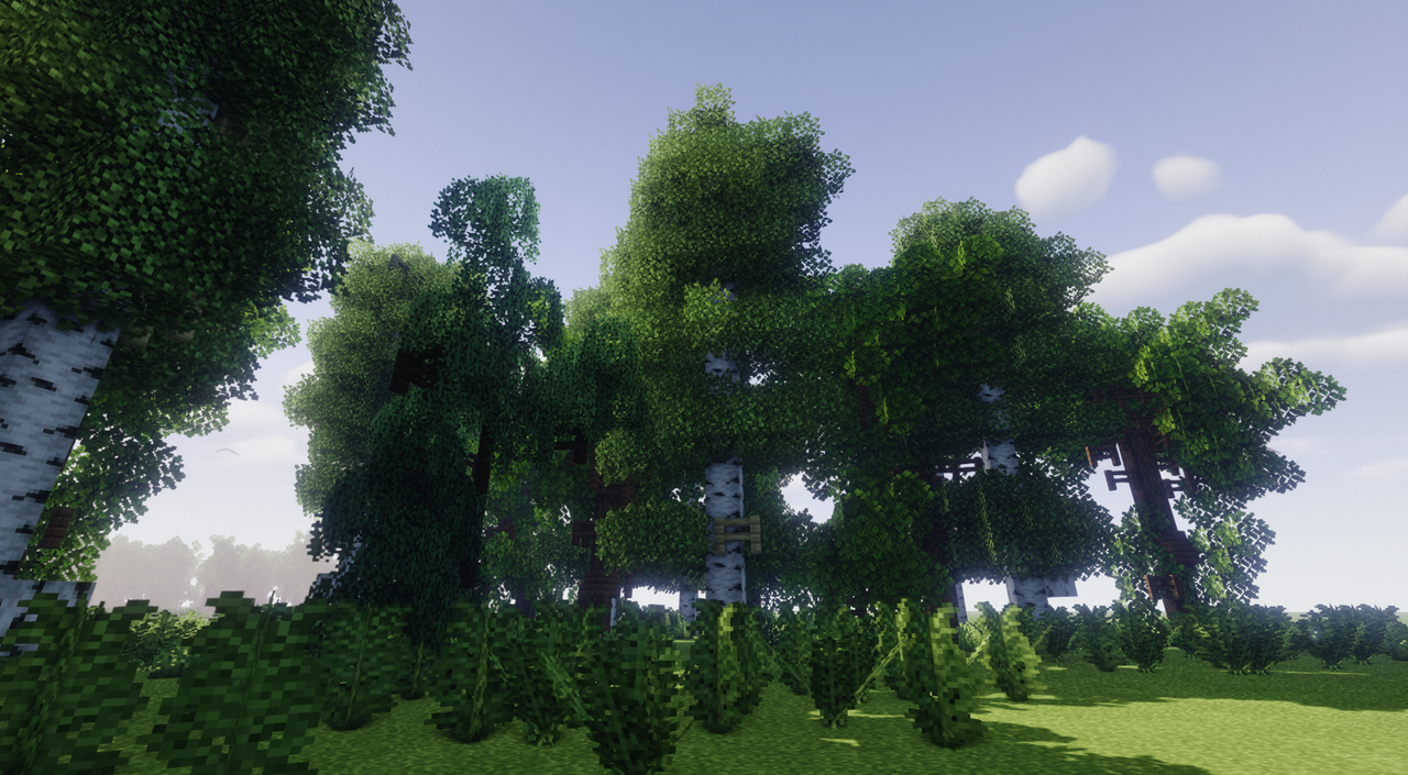 Oak Forest