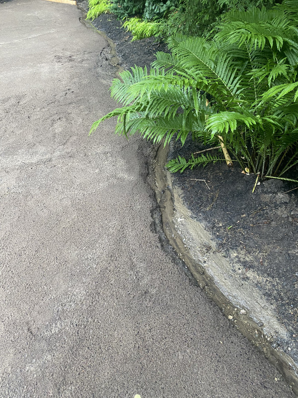 45B8C11A-0C02-495D-90B5-FD4460B5F32A