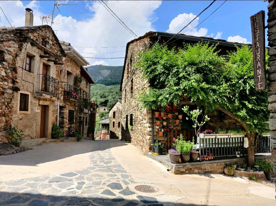 Screenshot_2022-06-05-00-48-35-37_eb95449054eea5920a3659341834edda