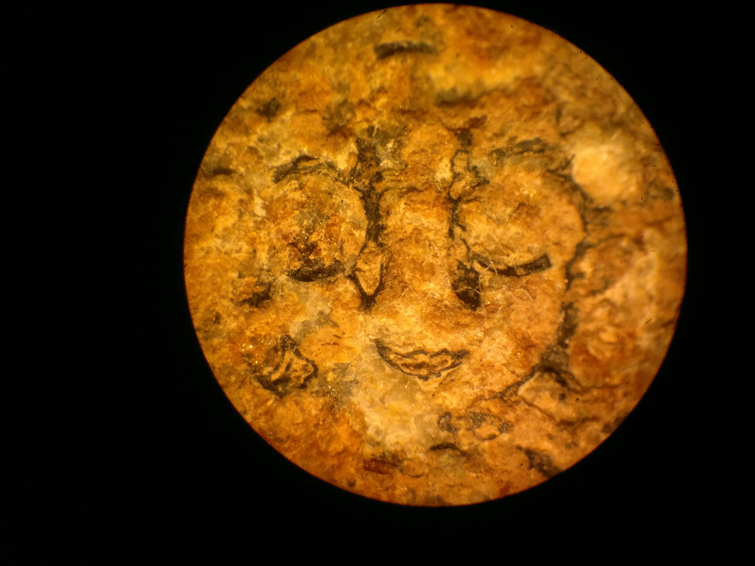 2013-07-21-717