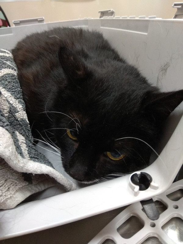 перед операцией3