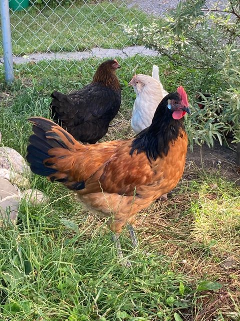 WhatsApp Image 2021-06-27 at 13.26.59