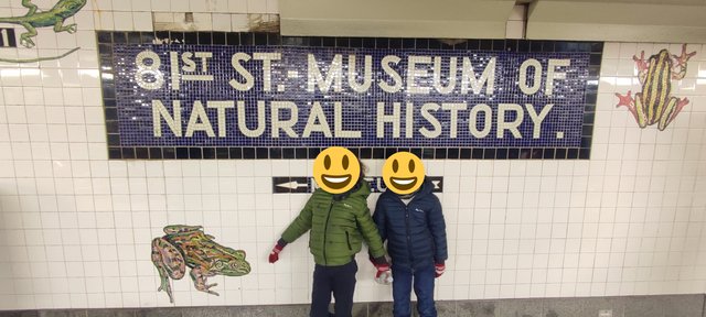 Vista icónica en Dumbo, bicis Central Park, Museo Historia y Little Italy - Nueva York y Cataratas del Niágara 2023 (28)