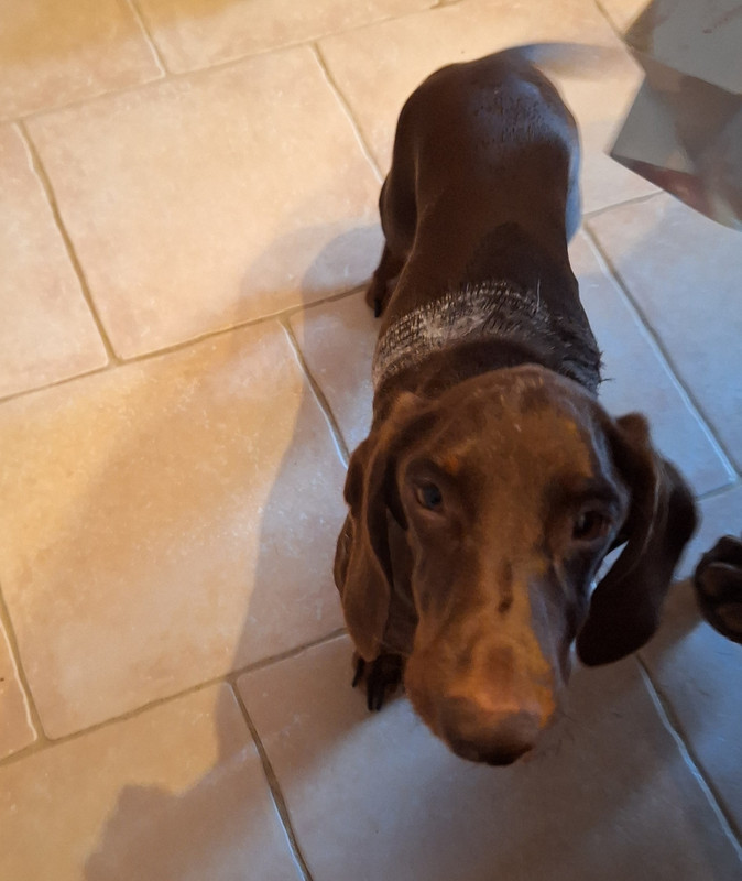 [Image: 20250922-185617.jpg]