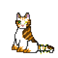 Cat-6.gif