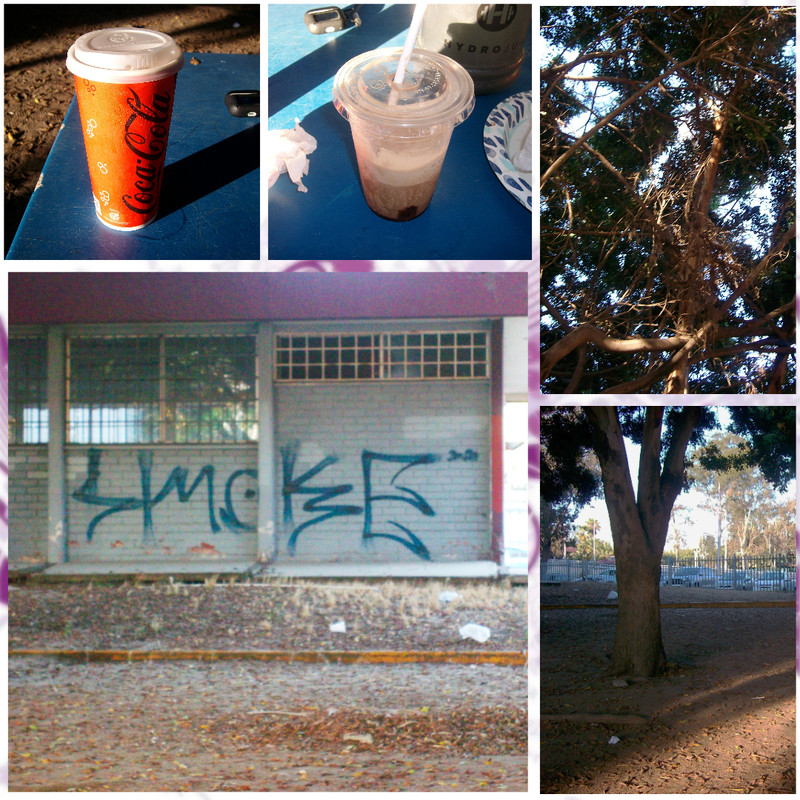 Untitled Project (16)