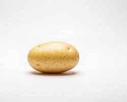 Potatoes