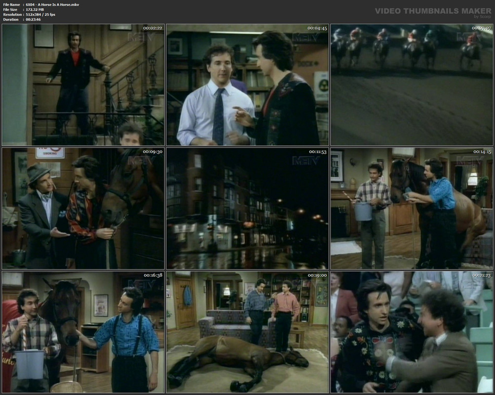 6X04 - A Horse Is A Horse.mkv