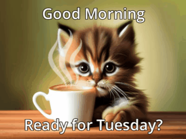 An den Beitrag angehängtes Bild: https://i.postimg.cc/nzJSXc07/oie-188148c-OC7We-J3.gif