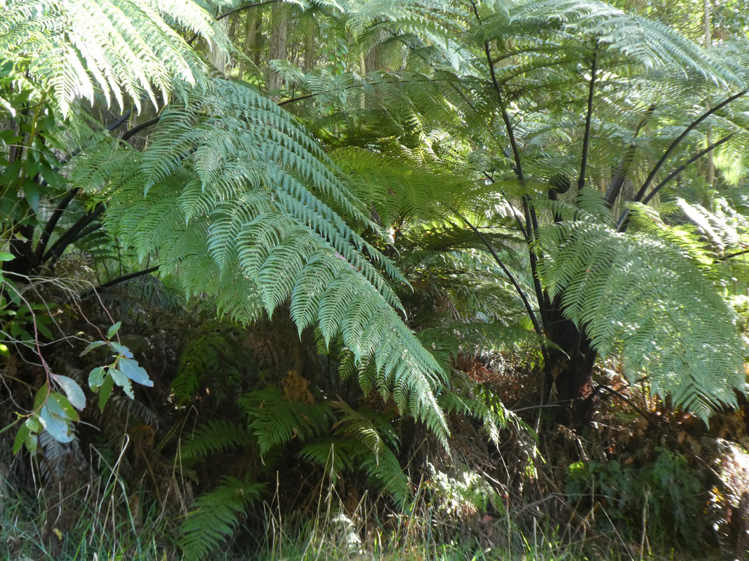 P1010250.jpg