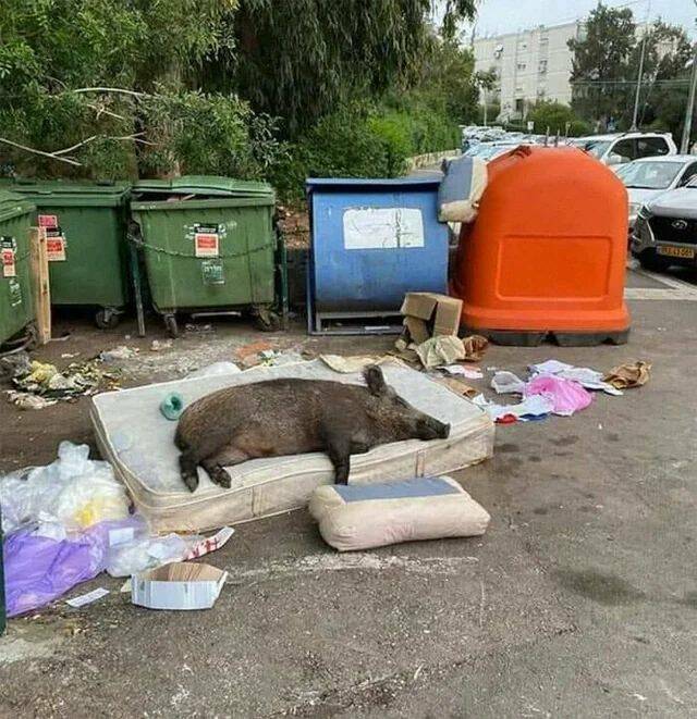 daily-picdump-53-2.jpg