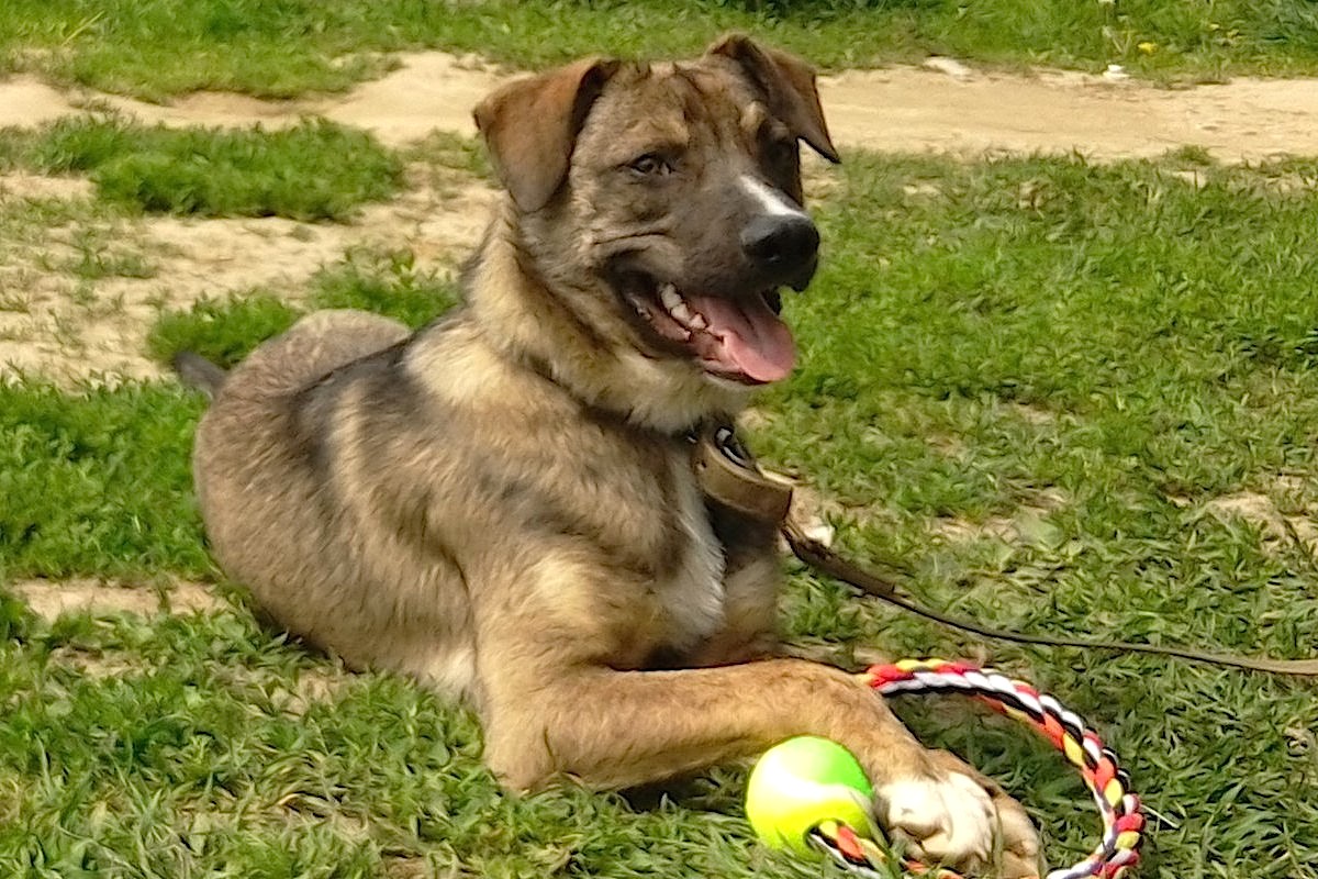 IMG_20190525_120923E