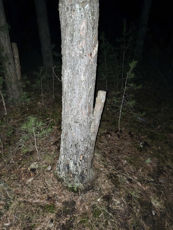 IMG 20260419 000144 456