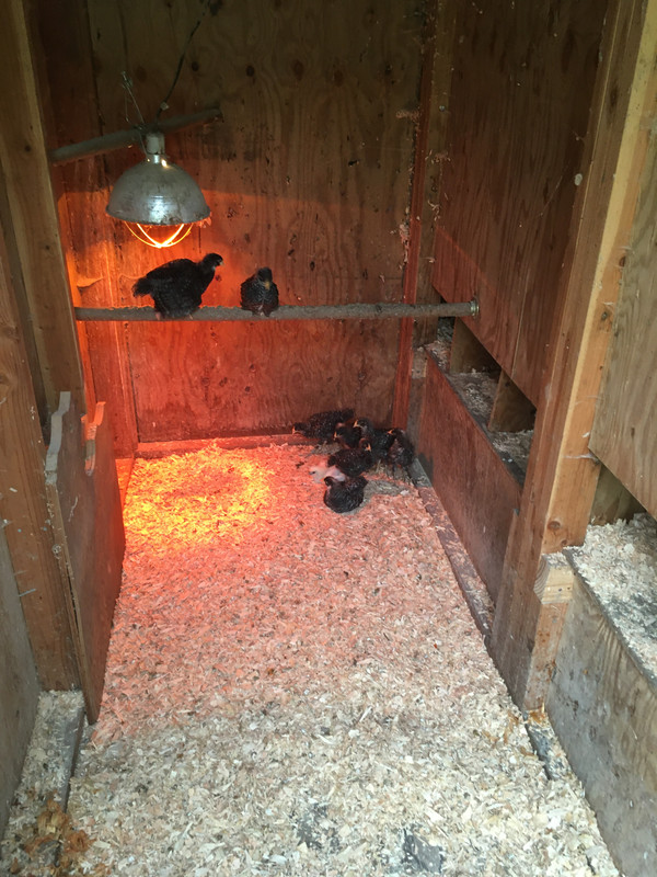 6857E28C-D844-45F3-8E72-987CAB8A09B7