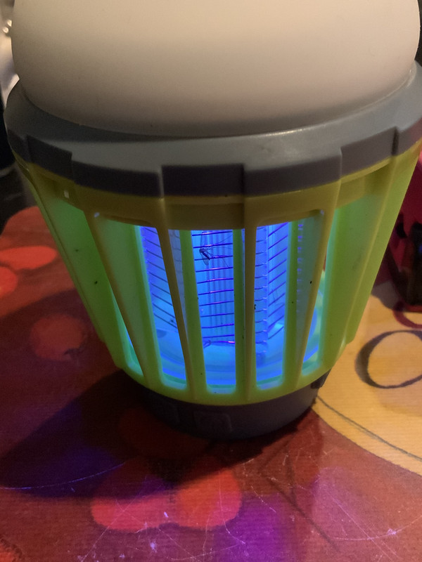 5E8CCB55-80D3-469C-A3E6-868ADBF76D8E