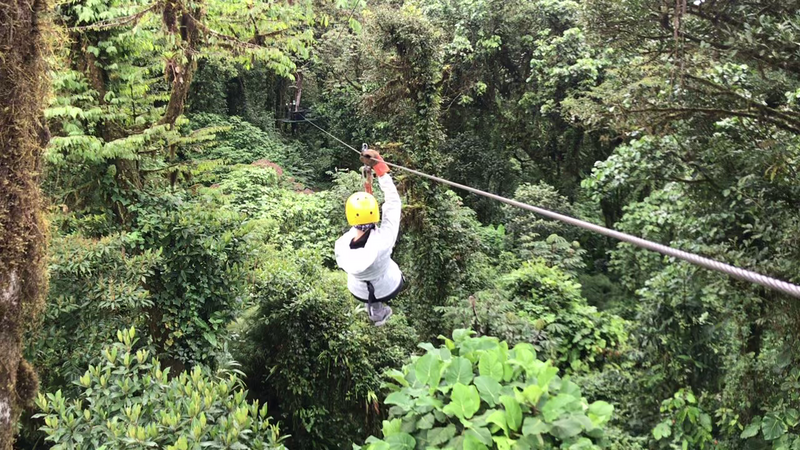 DE TORTUGAS Y PEREZOSOS. COSTA RICA 2019 - Blogs de Costa Rica - DIA 11: TIROLINAS EN MONTEVERDE Y TOUR NOCTURNO POR LA SELVA (7)