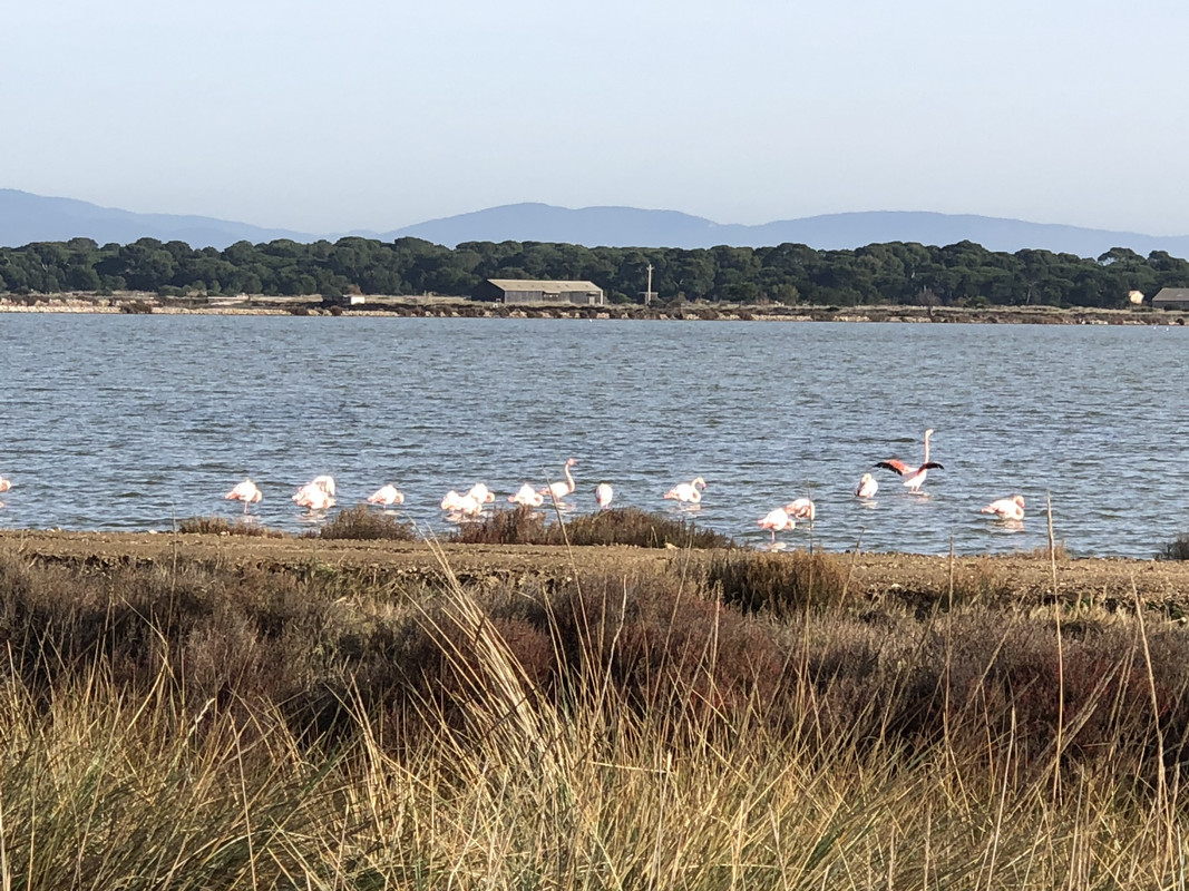 65FA1EAC-31DA-4AC4-96DF-47F4EDA19D73