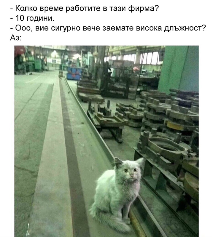 511c33d6f9ced2563935b55d4aabd399425b80ea9ad24772056640aa7beda950-1