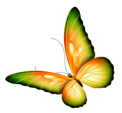 Kit_Just_Bee_In_ME (2)