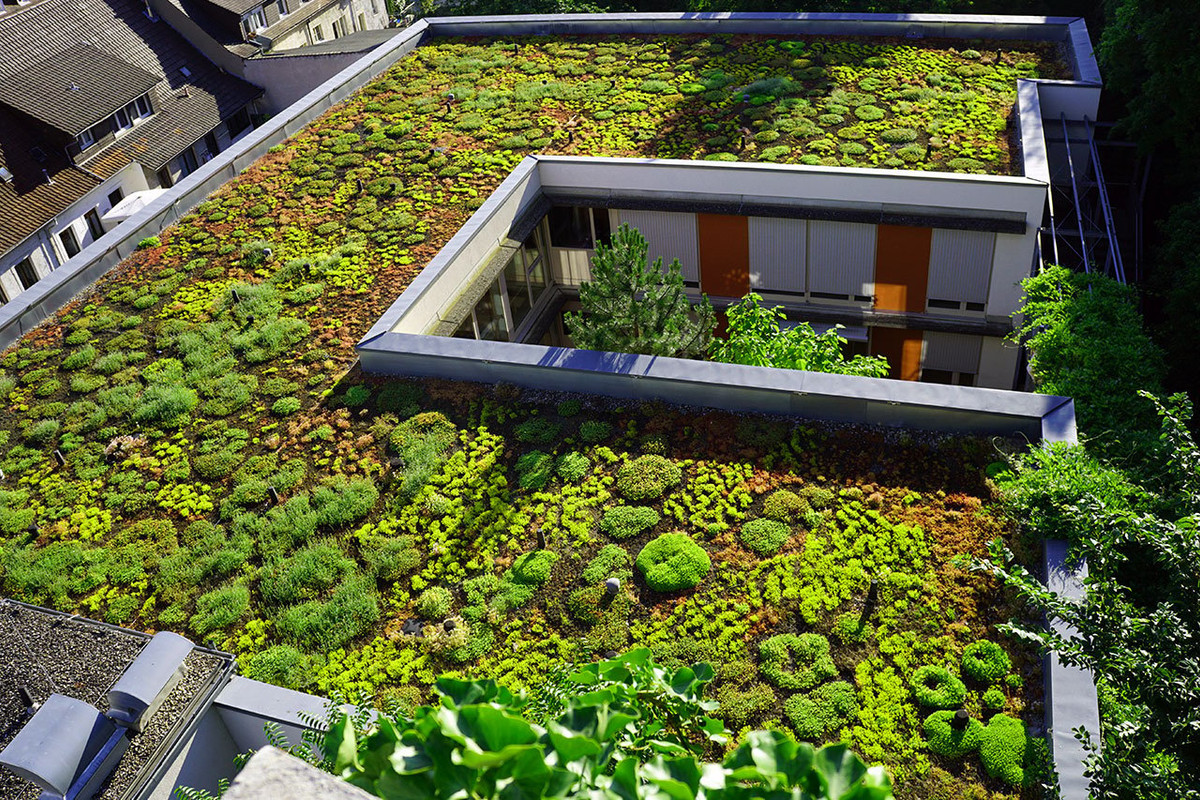 Key Components of a Advanced Roof Plant Design