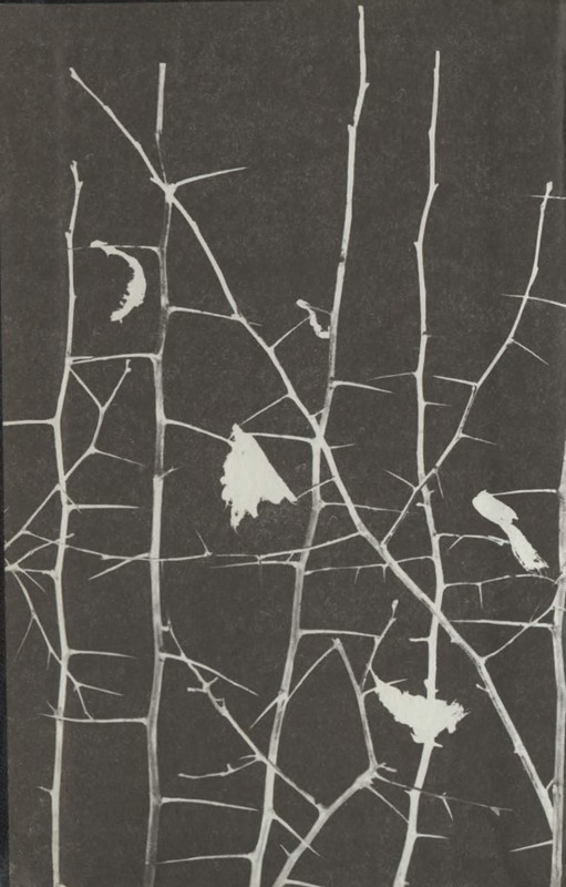 p0002