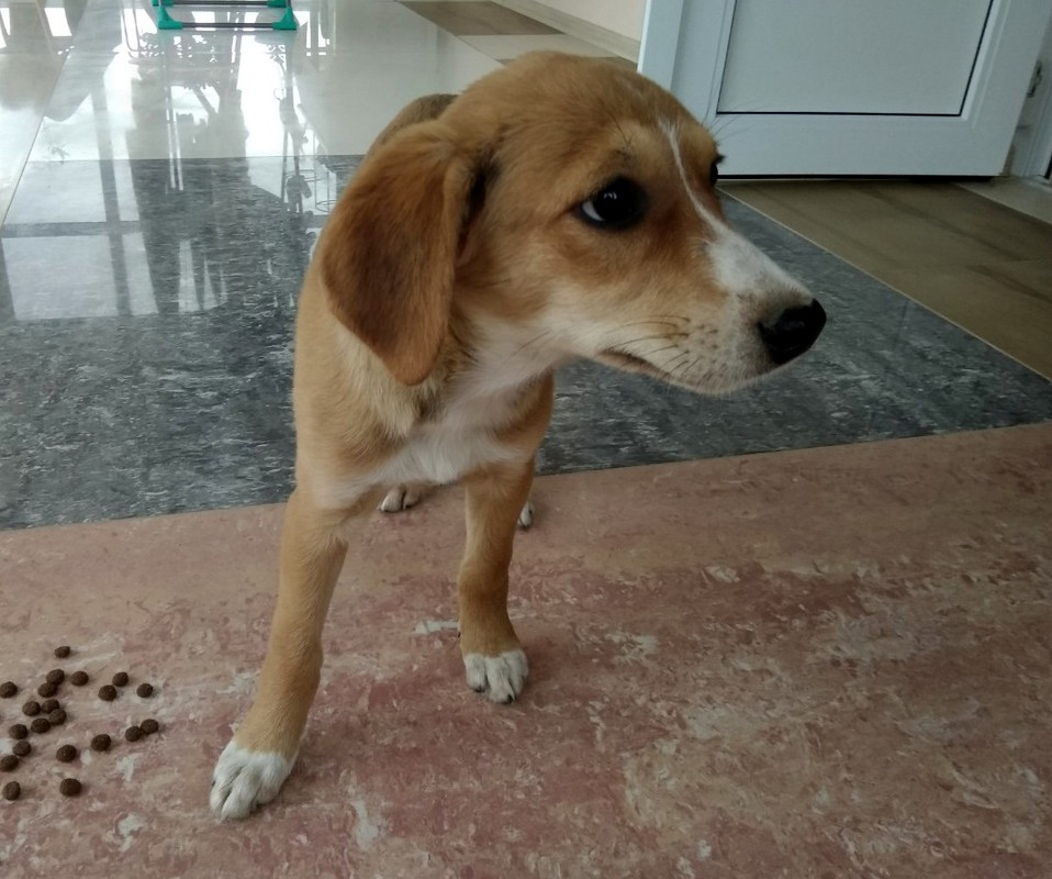 изображение_viber_2019-09-15_17-34-23