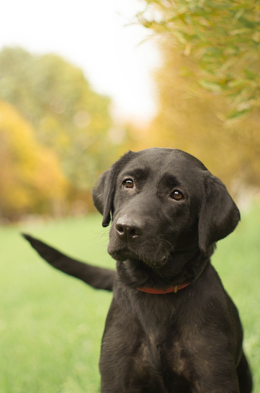 IMG-73480a1904ad60dd278505923b5bc077-V