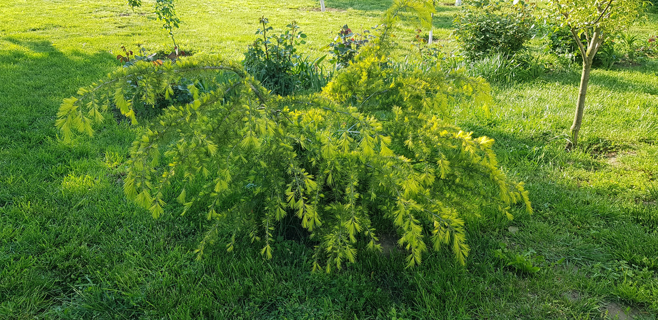 20190502_174410