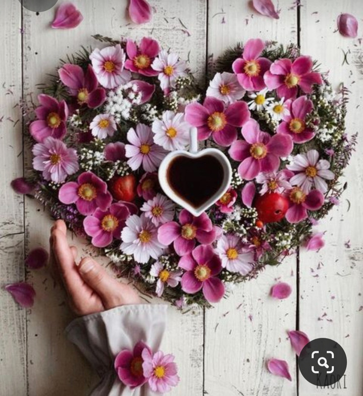 Screenshot_20230717_222555_Pinterest