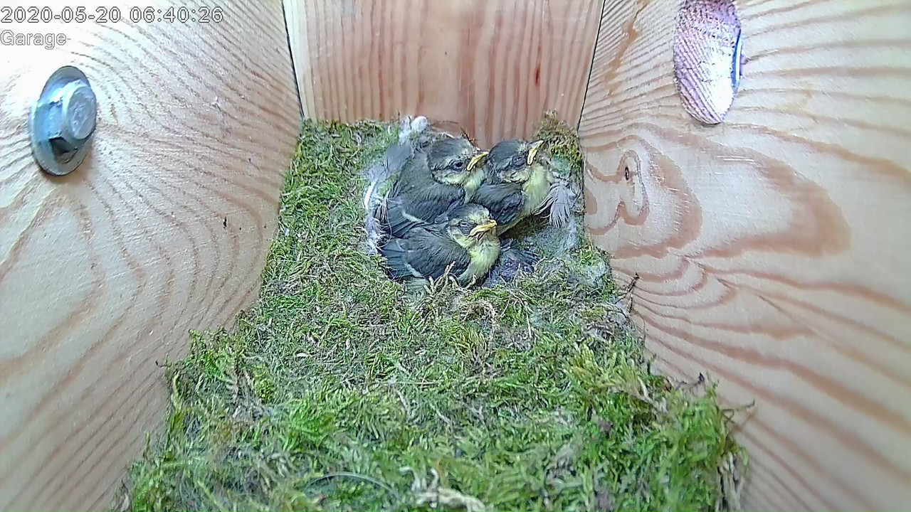 C5E93B8D-FBCF-4881-BFD6-49CDA696CC8A