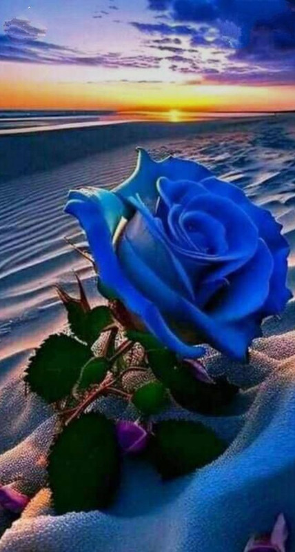 447960414-7577854838935614-1549104359426433227-n