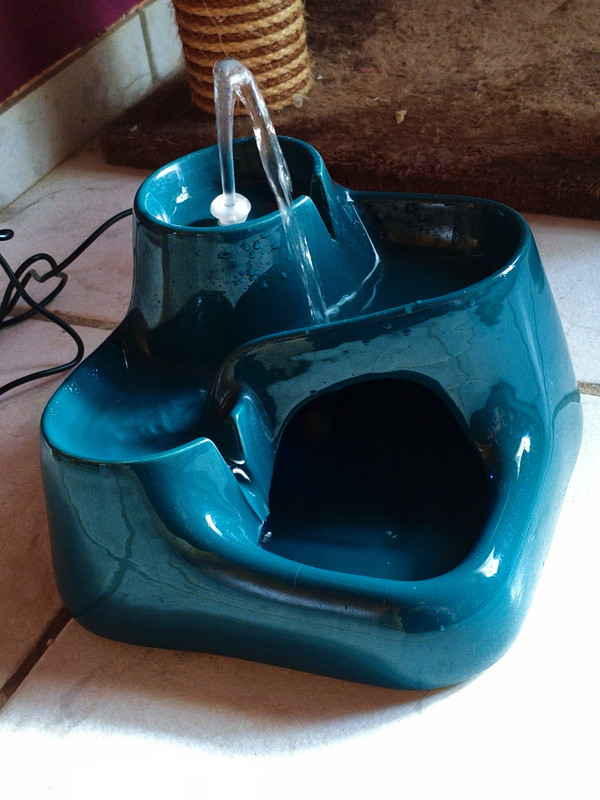 MVIMG 20260426 091825