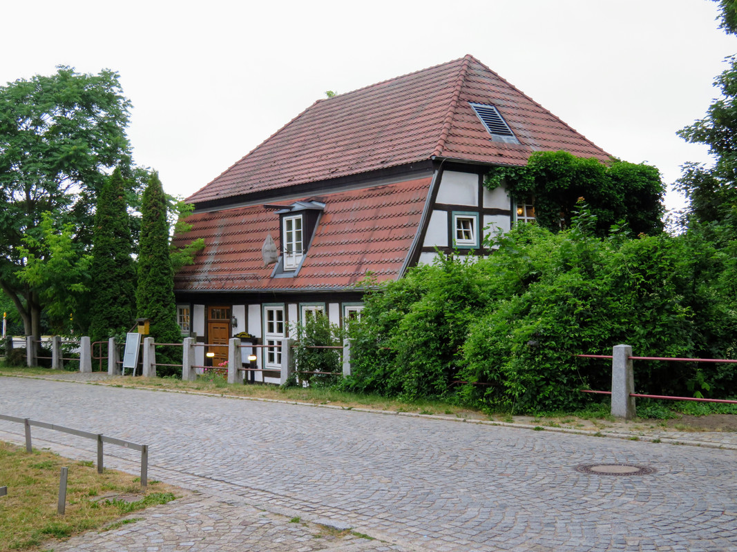 IMG-0863-2.jpg