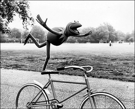 Tumblr-l-355675205664944