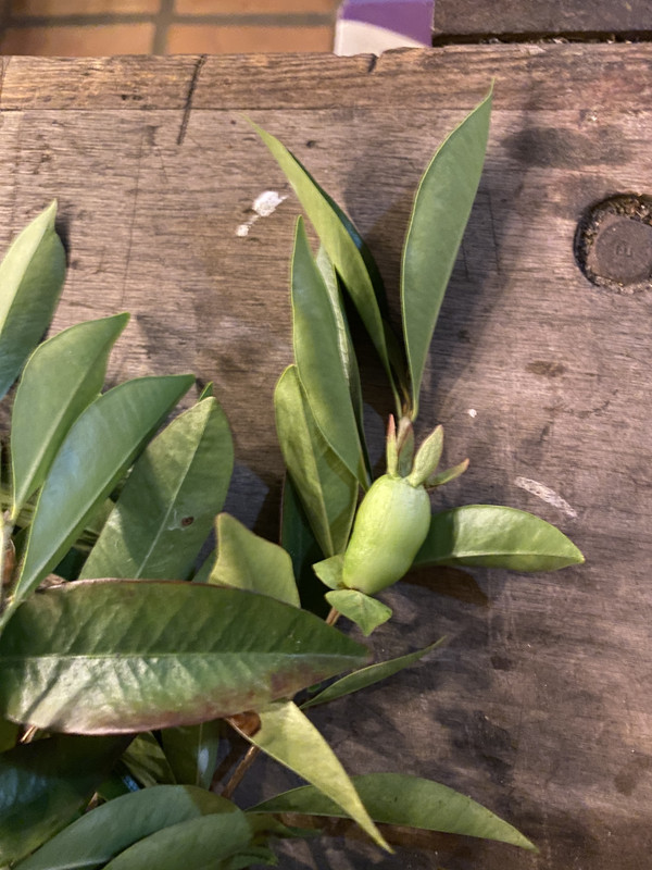 0A8C8521-5A58-42A9-99D0-82E8398B2D29