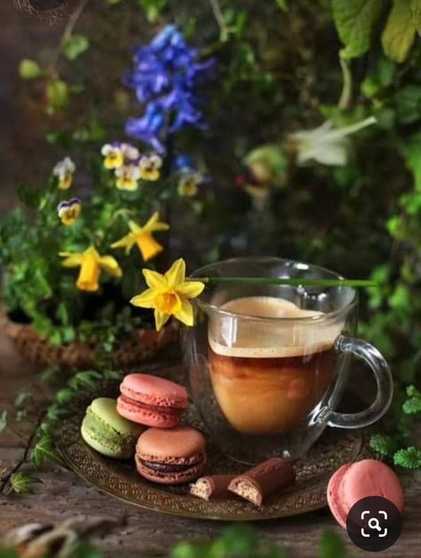 Screenshot_20230710_234435_Pinterest