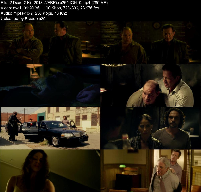 2-Dead-2-Kill-2013-WEBRip-x264-ION10.jpg