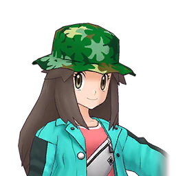 ch0017-10-leaf-expose-256.png