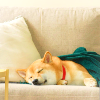 cuddle4
