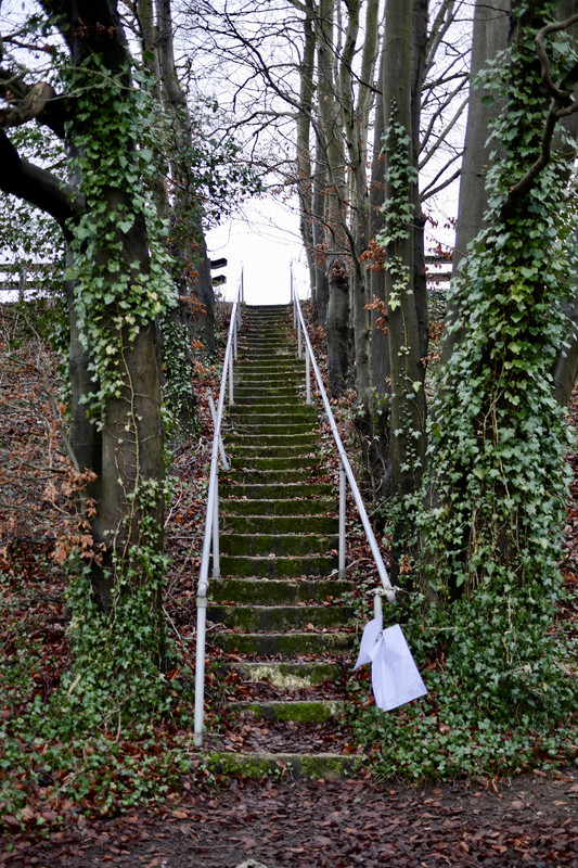 F83CA440-9F61-449E-80A8-42E2368BF154