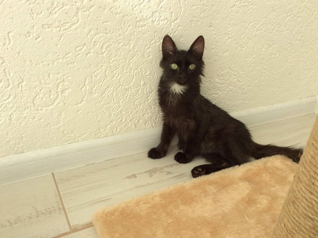 1D6B8771-CB1C-47B3-B0FF-856603C0F5F1