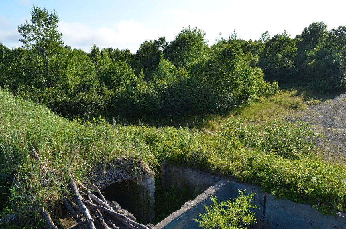 DSC-6797.jpg