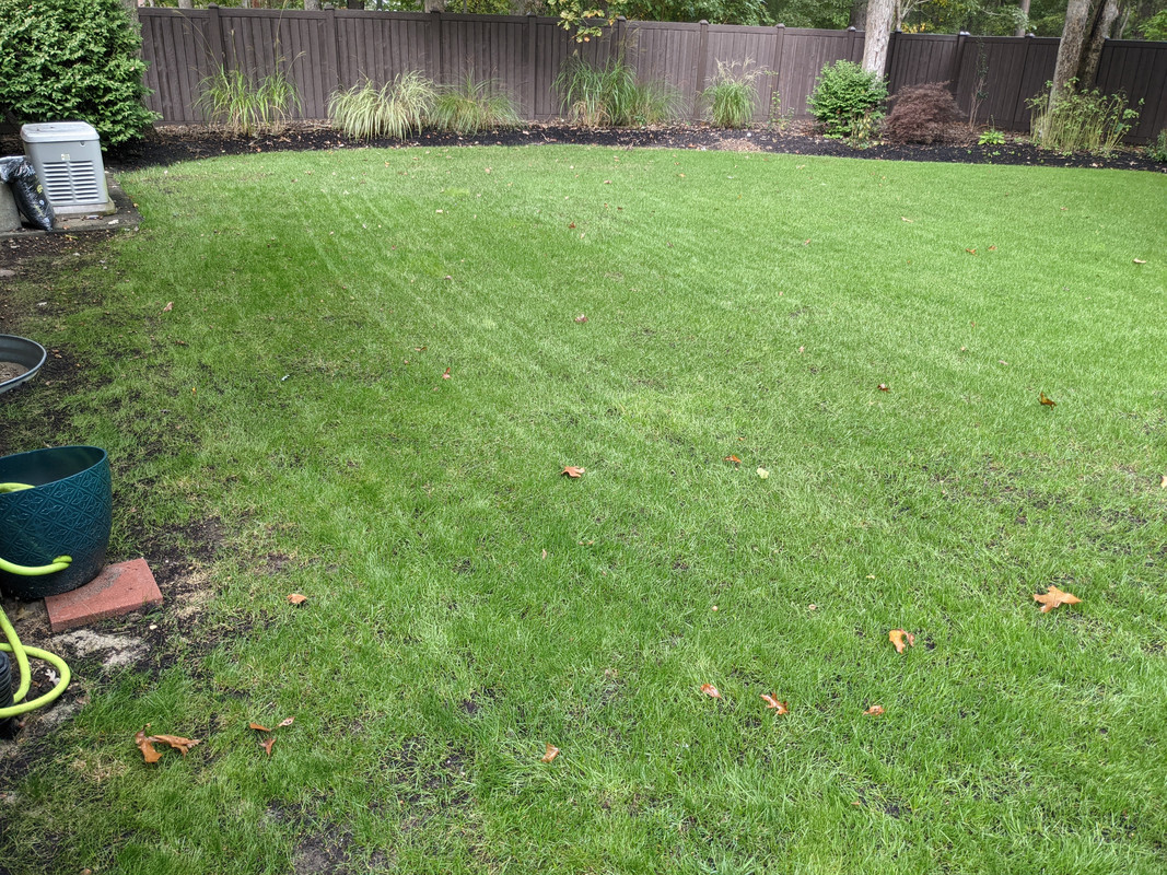 PXL_20211009_165820737